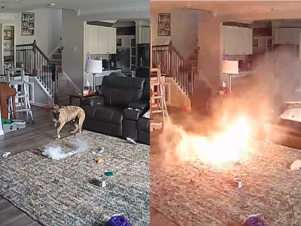 寶可夢原來會大便！《寶可夢傳說 Z-A》NPC驚人台詞引玩家熱議